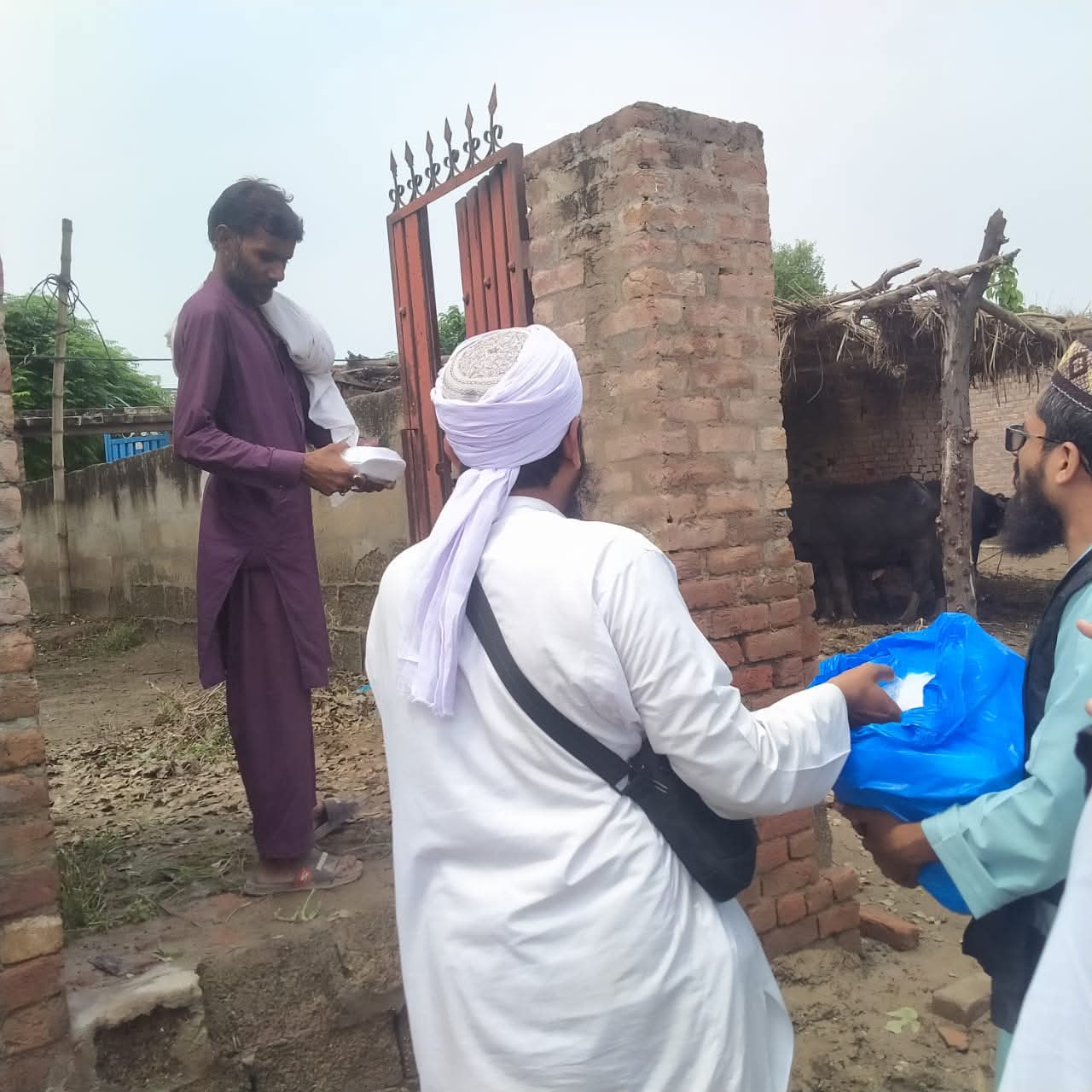 Impact Photo other-51